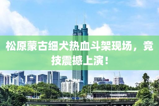 松原蒙古细犬热血斗架现场，竞技震撼上演！