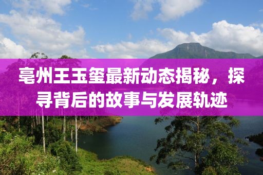 亳州王玉玺最新动态揭秘，探寻背后的故事与发展轨迹