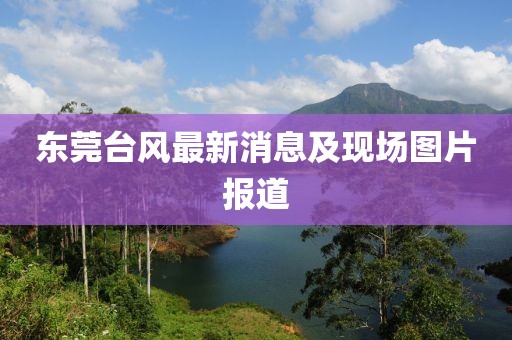 东莞台风最新消息及现场图片报道