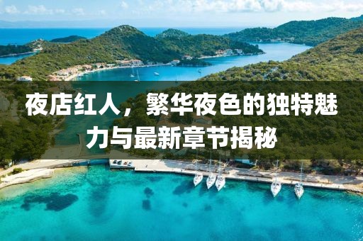 夜店红人，繁华夜色的独特魅力与最新章节揭秘
