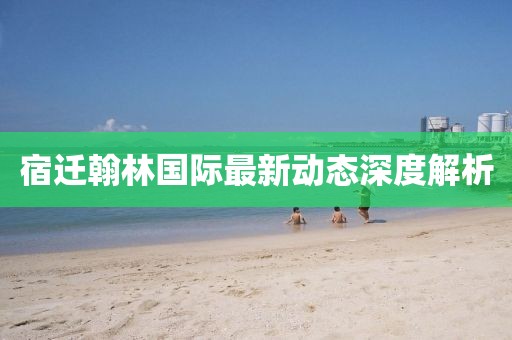 宿迁翰林国际最新动态深度解析
