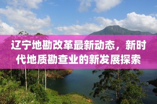 辽宁地勘改革最新动态，新时代地质勘查业的新发展探索