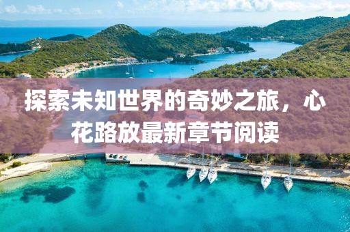 探索未知世界的奇妙之旅，心花路放最新章节阅读
