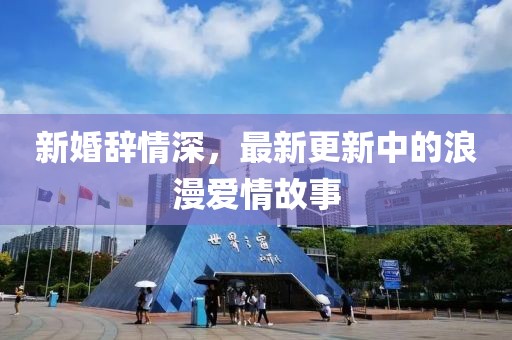 新婚辞情深，最新更新中的浪漫爱情故事