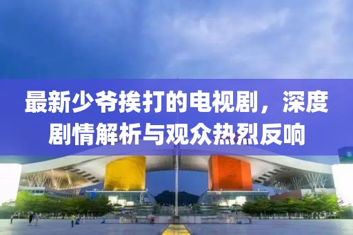 最新少爷挨打的电视剧，深度剧情解析与观众热烈反响