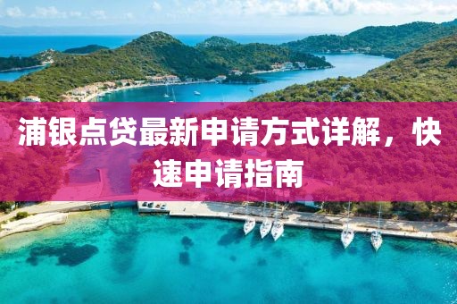 浦银点贷最新申请方式详解，快速申请指南