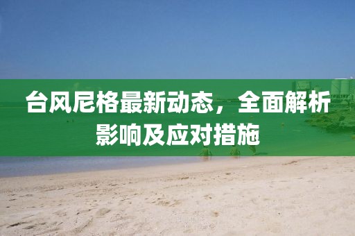 台风尼格最新动态，全面解析影响及应对措施
