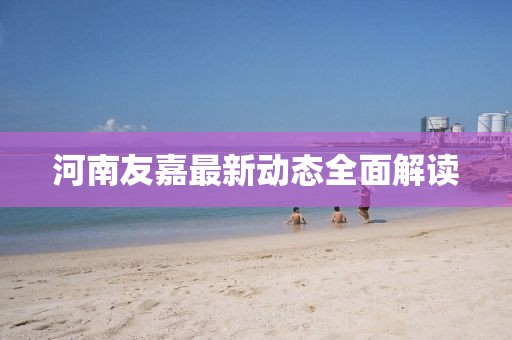 河南友嘉最新动态全面解读