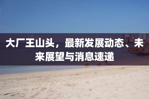 大厂王山头，最新发展动态、未来展望与消息速递