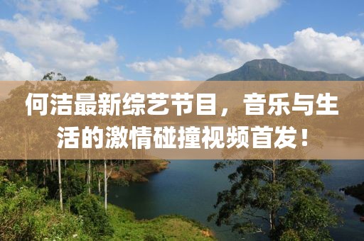 何洁最新综艺节目，音乐与生活的激情碰撞视频首发！
