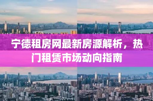 宁德租房网最新房源解析，热门租赁市场动向指南