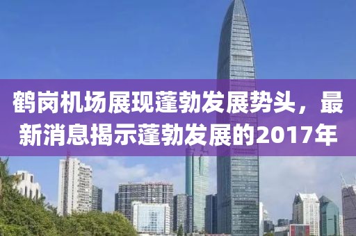 鹤岗机场展现蓬勃发展势头，最新消息揭示蓬勃发展的2017年