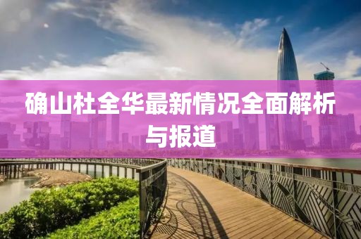 确山杜全华最新情况全面解析与报道