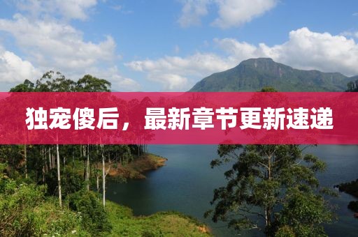 独宠傻后，最新章节更新速递