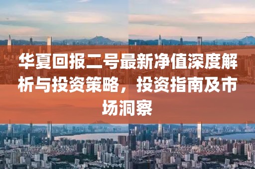 华夏回报二号最新净值深度解析与投资策略，投资指南及市场洞察