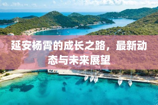 延安杨霄的成长之路，最新动态与未来展望