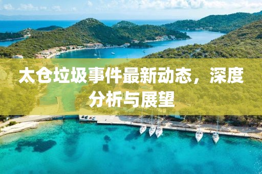 太仓垃圾事件最新动态，深度分析与展望