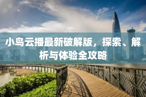 小鸟云播最新破解版，探索、解析与体验全攻略