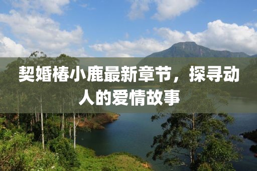 契婚椿小鹿最新章节，探寻动人的爱情故事