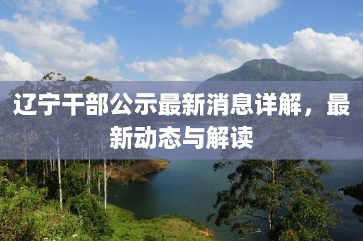 辽宁干部公示最新消息详解，最新动态与解读