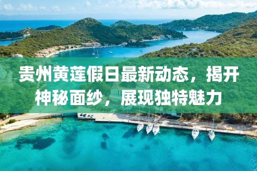 贵州黄莲假日最新动态，揭开神秘面纱，展现独特魅力