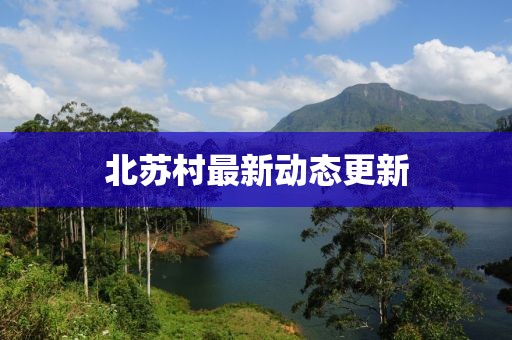 北苏村最新动态更新