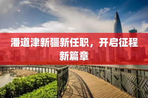 潘道津新疆新任职，开启征程新篇章
