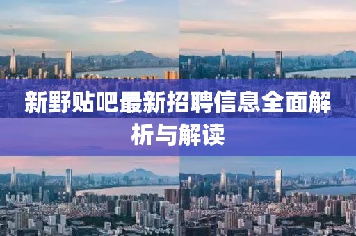 新野贴吧最新招聘信息全面解析与解读