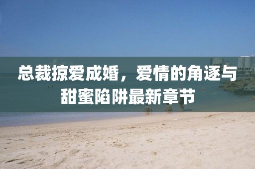 总裁掠爱成婚，爱情的角逐与甜蜜陷阱最新章节
