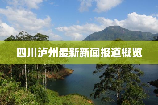 四川泸州最新新闻报道概览
