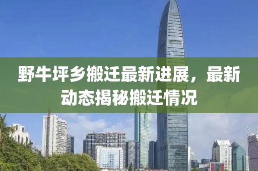 野牛坪乡搬迁最新进展，最新动态揭秘搬迁情况