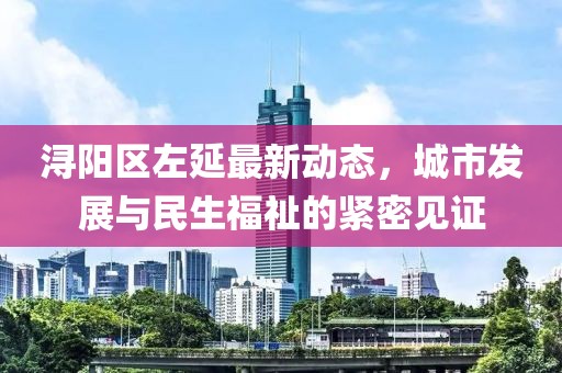 浔阳区左延最新动态，城市发展与民生福祉的紧密见证