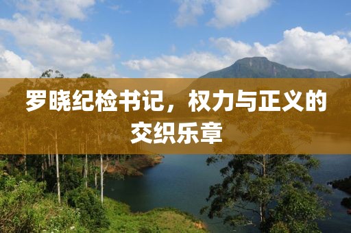 罗晓纪检书记，权力与正义的交织乐章
