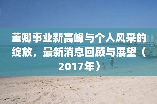 董卿事业新高峰与个人风采的绽放，最新消息回顾与展望（2017年）