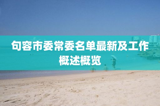 句容市委常委名单最新及工作概述概览