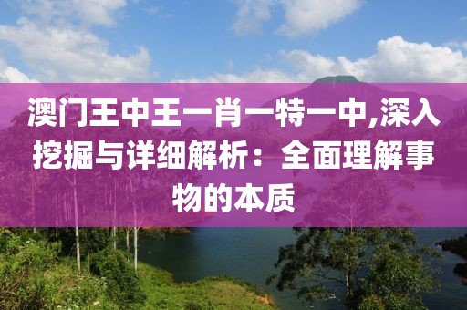 澳门王中王一肖一特一中,深入挖掘与详细解析：全面理解事物的本质