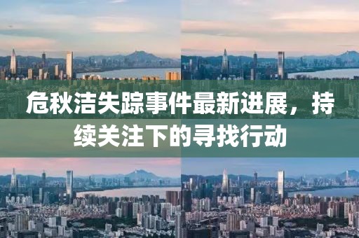 危秋洁失踪事件最新进展，持续关注下的寻找行动