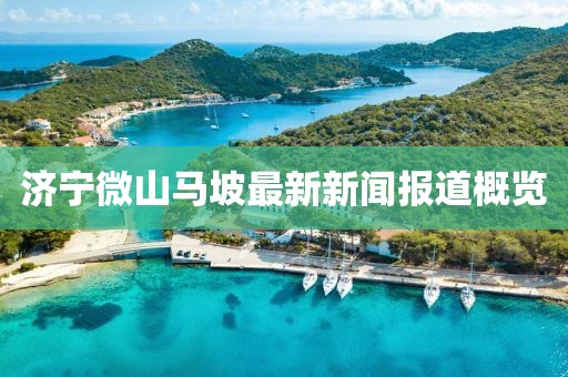 济宁微山马坡最新新闻报道概览