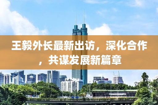 王毅外长最新出访，深化合作，共谋发展新篇章