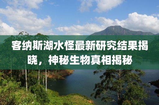 星星打烊 第13页