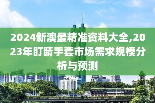 2024新澳最精准资料大全,2023年盯睛手套市场需求规模分析与预测