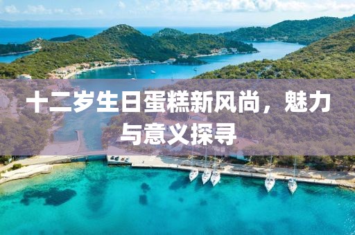 十二岁生日蛋糕新风尚，魅力与意义探寻
