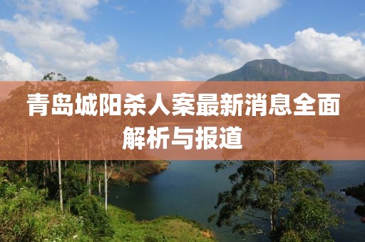 青岛城阳杀人案最新消息全面解析与报道