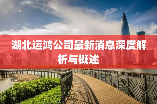 湖北运鸿公司最新消息深度解析与概述