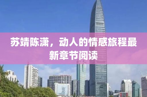 苏靖陈潇，动人的情感旅程最新章节阅读