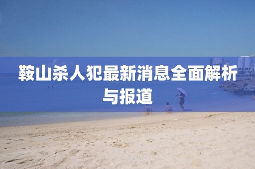 鞍山杀人犯最新消息全面解析与报道