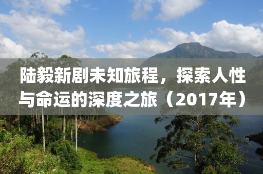 陆毅新剧未知旅程，探索人性与命运的深度之旅（2017年）