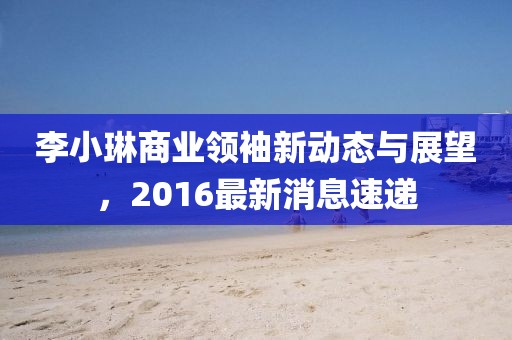 李小琳商业领袖新动态与展望，2016最新消息速递