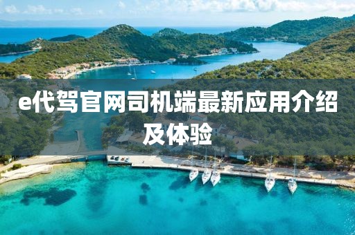 e代驾官网司机端最新应用介绍及体验
