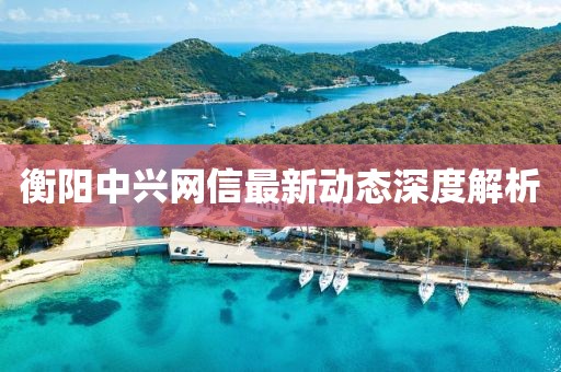 衡阳中兴网信最新动态深度解析